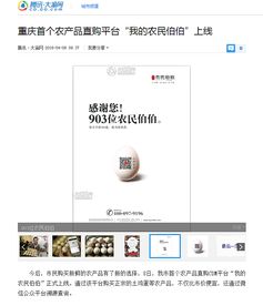 泥土与像素 互联网农产品公司的视觉设计美学